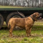 Aisha El Capitan x KS Nevaeh 2024