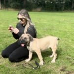 FOR SALE: Aisha Myelin 14 week old female Boerboel Puppy