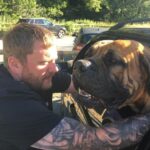 Boerboel Breeder - About Aisha Boerboels - The Boerboel