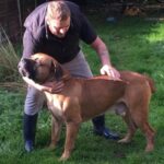 Africa Romulus (Romel)