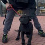 Aisha Big Meech 13 weeks