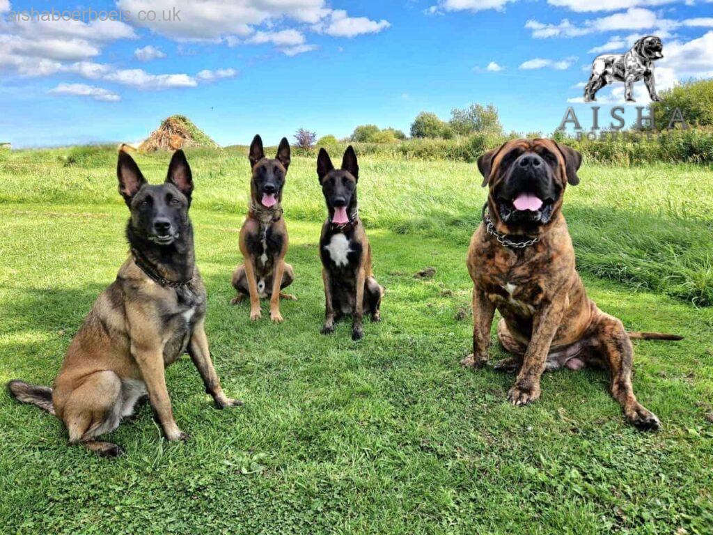 Aisha Blaze and friends