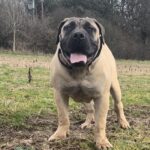 Aisha Eddie 'The Beast'