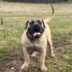 Aisha Eddie 'The Beast'