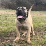 Aisha Eddie 'The Beast'