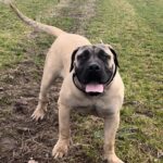 Aisha Eddie 'The Beast'