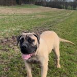 Aisha Eddie 'The Beast'