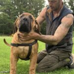 Aisha El Capitan (Rico)