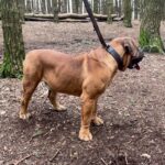 Aisha El Capitan (Rico)