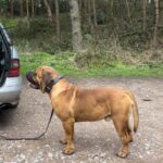 Aisha El Capitan (Rico)