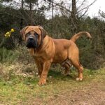 Aisha El Capitan (Rico)