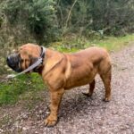 Aisha El Capitan (Rico)