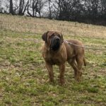 Aisha El Capitan (Rico)