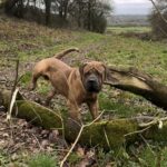 Aisha El Capitan (Rico)