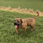 Aisha El Capitan (Rico)