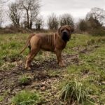 Aisha El Capitan (Rico)