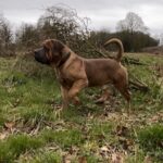 Aisha El Capitan (Rico)