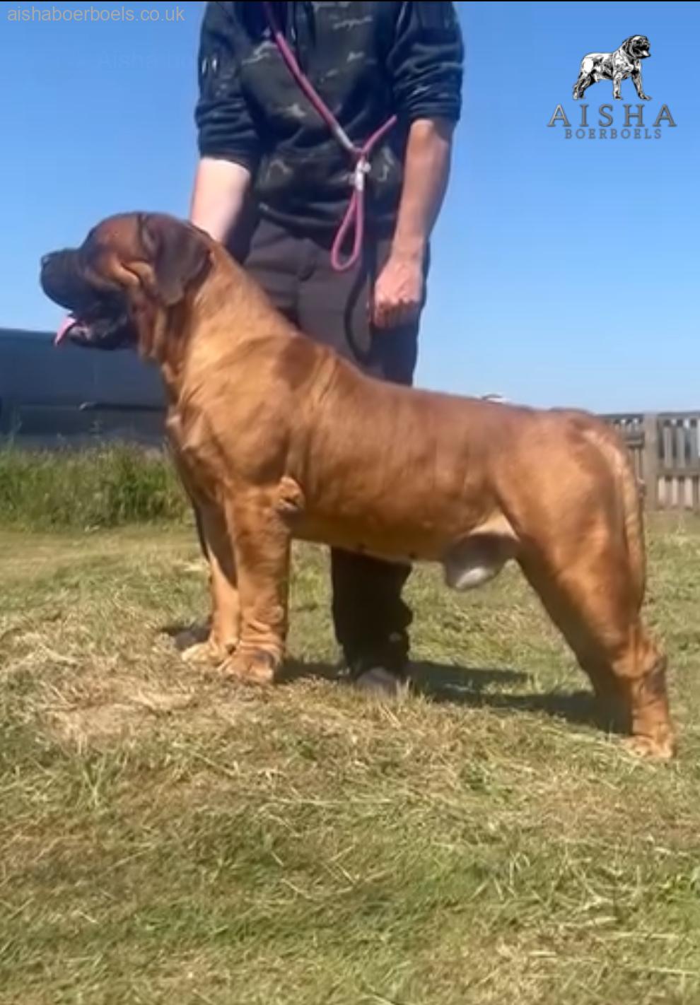 Aisha El’Capitan (Rico) has flown the Nest