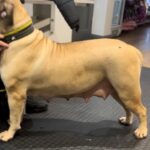 Aisha Makeda X Mes Ghost