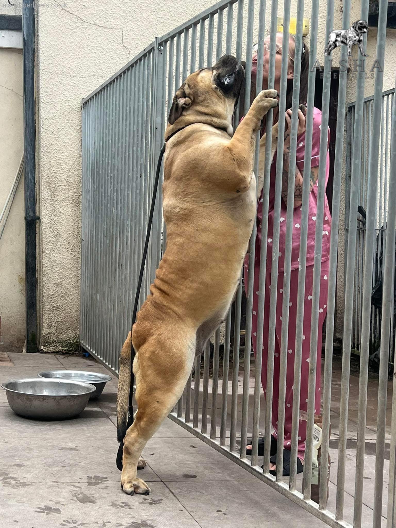 Aisha Opal and her Moma