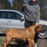 Aisha Hell Raiser (Gus) Aisha Reaper (Jaxx)