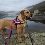 Aisha Sadie 7 Months Old