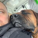 Aisha Sharpie (Nala)