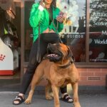 Aisha Sharpie (Nala)