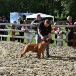 Aisha Ten Ton Tess (Tessa)