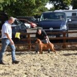 Aisha Ten Ton Tess (Tessa)