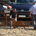 Aisha Ten Ton Tess (Tessa)