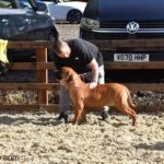 Aisha Ten Ton Tess (Tessa)