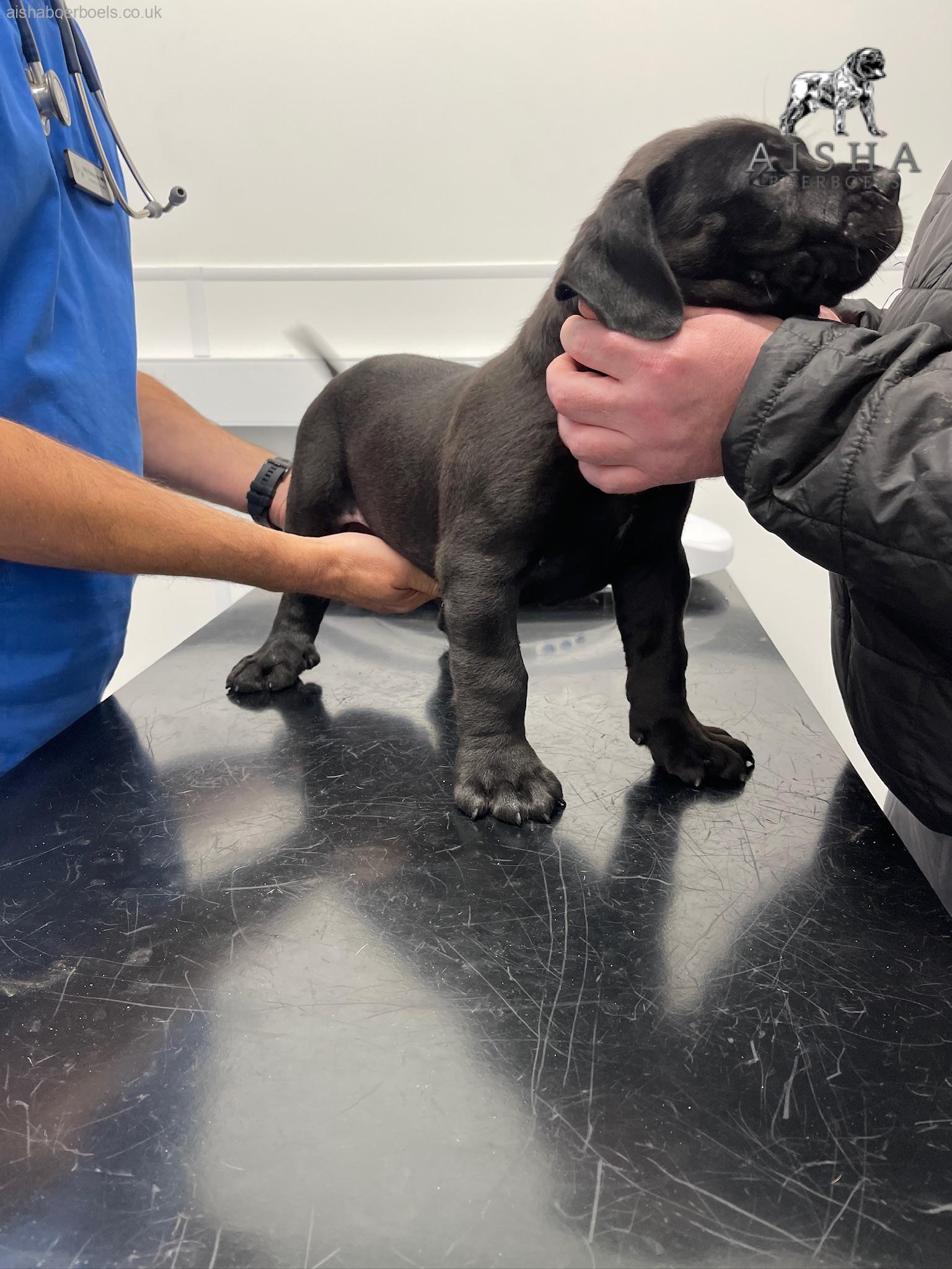 Health Checks and Health Testing