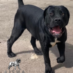 Klein Sandfontein Nevaeh