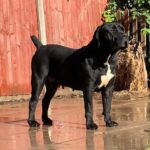 Klein Sandfontein Nevaeh