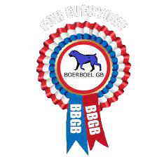 Boerboel GB are now SABBS affiliated