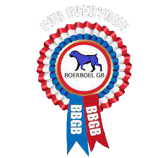 Visit the Boerboel GB Homepage