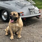 Nkosi Shaka Zulu (Shaka)