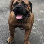 Aisha El'Capitan (Rico) X KS Nevaeh 2024