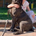 Sandaharr El Camino (Pablo)